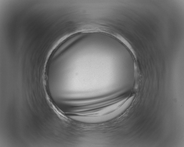 X0000082691485200702161711