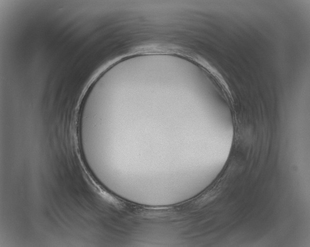 X0000082691486200702161711