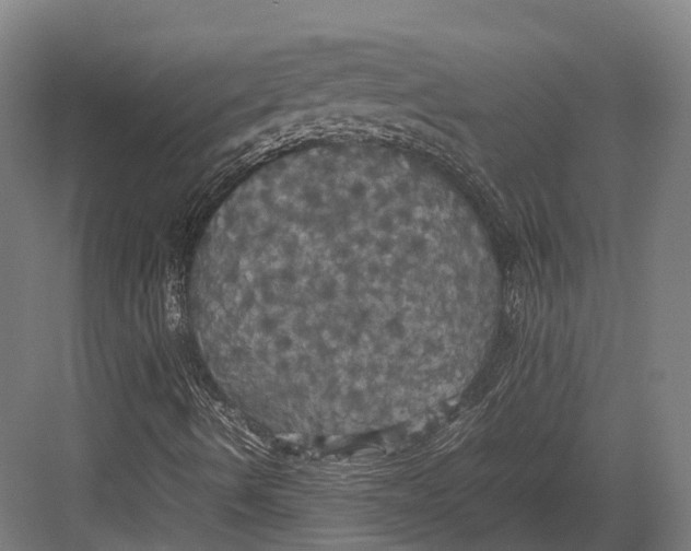 X0000082691490200702161710