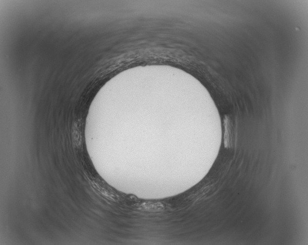 X0000082691491200702161710