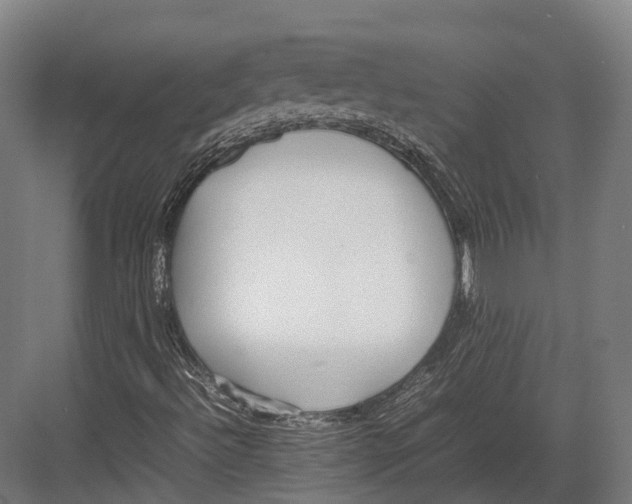 X0000082691492200702161710