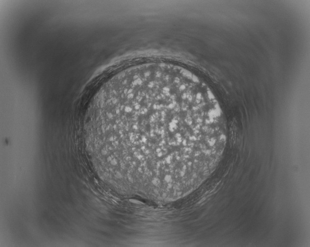 X0000082691494200702161710