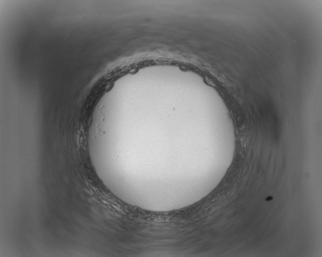 X0000082691495200702161710