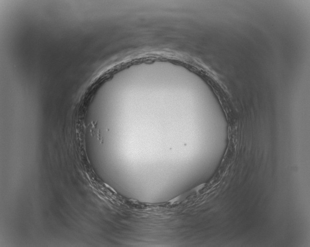 X0000082691496200702161710