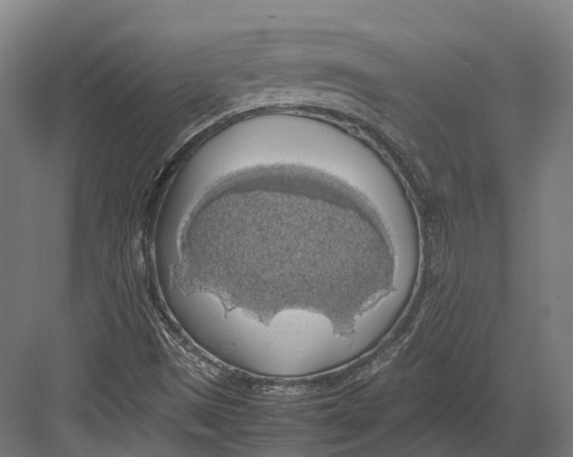 X0000082691497200702161710