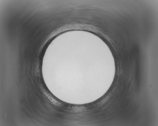 X0000082691498200702161710