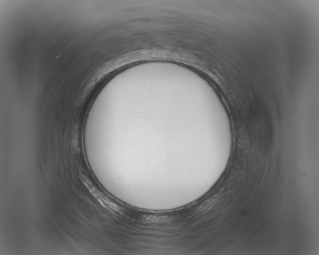 X0000082691499200702161710