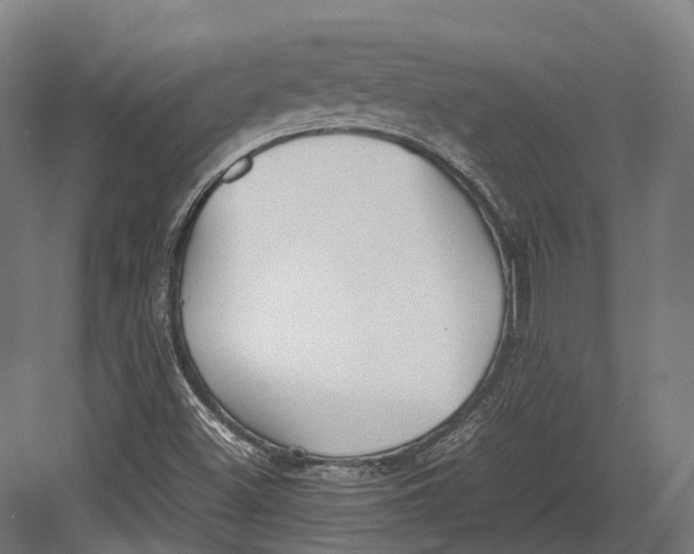 X0000082691500200702161710