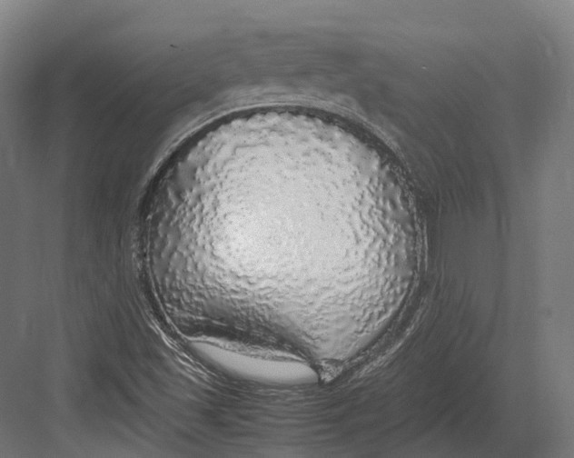 X0000082691501200702161710