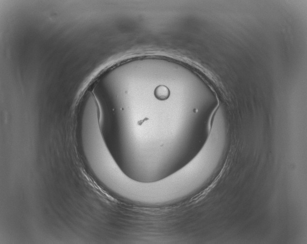 X0000082691502200702161710