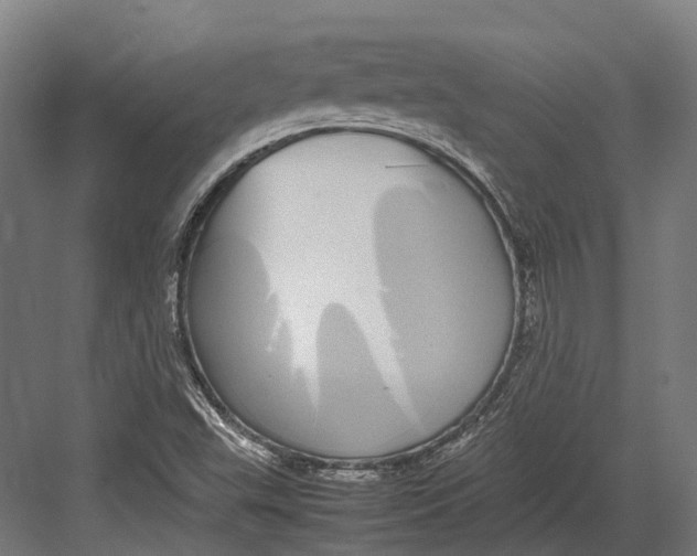 X0000082691503200702161710