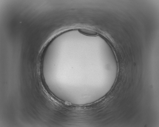 X0000082691504200702161710