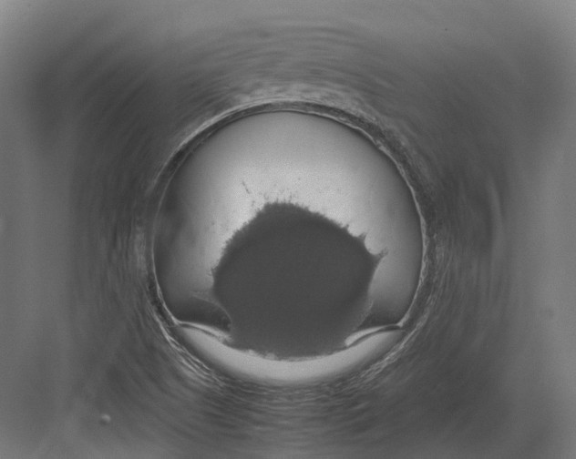 X0000082691505200702161710