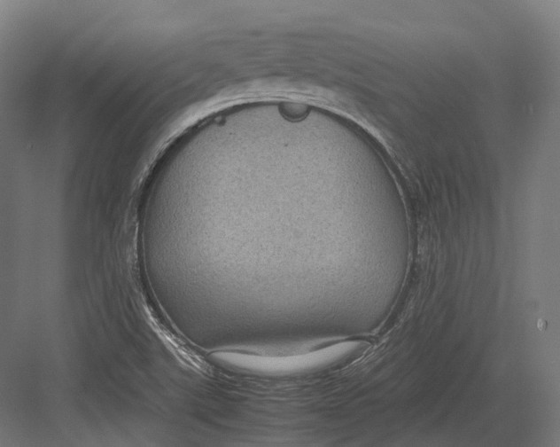 X0000082691507200702161710