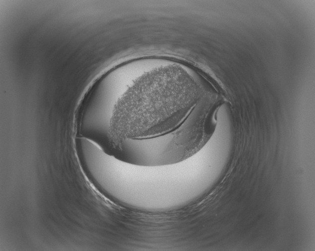 X0000082691508200702161710