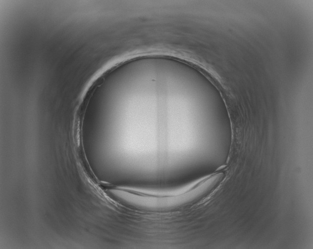 X0000082691510200702161711