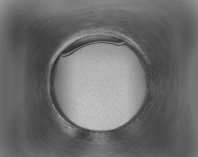 X0000082691512200702161711