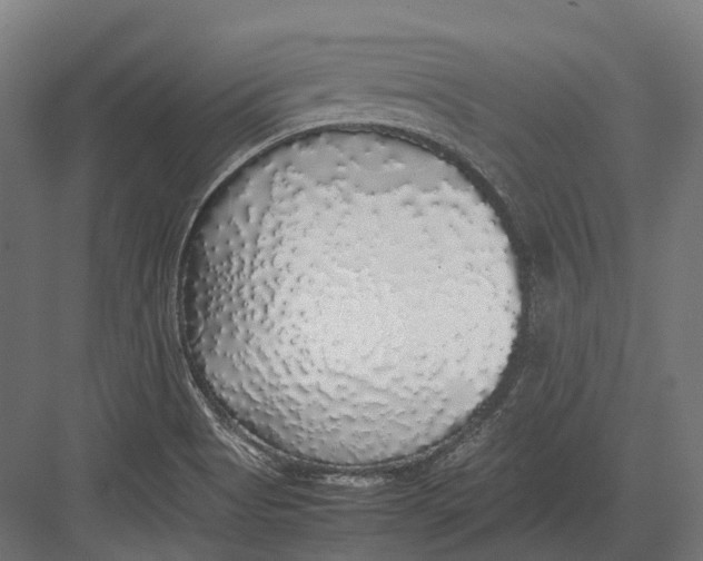 X0000082691513200702161711