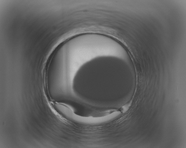 X0000082691515200702161711