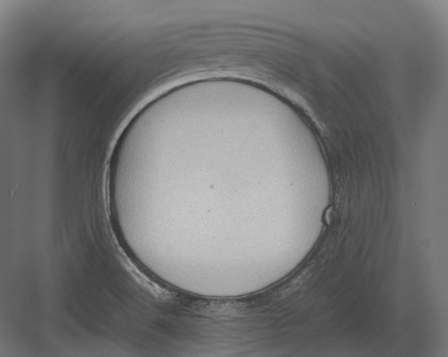 X0000082691516200702161711