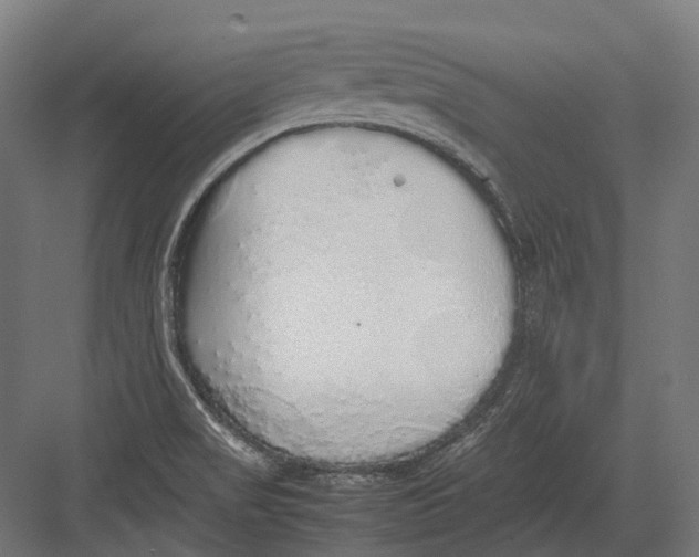 X0000082691517200702161711