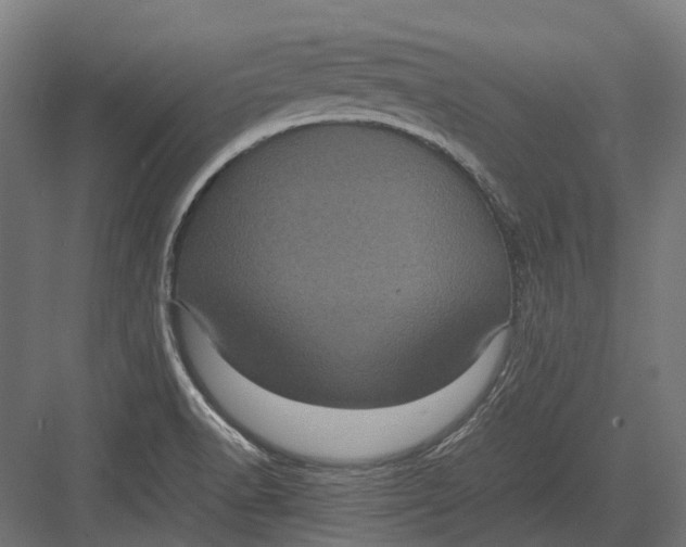 X0000082691518200702161711