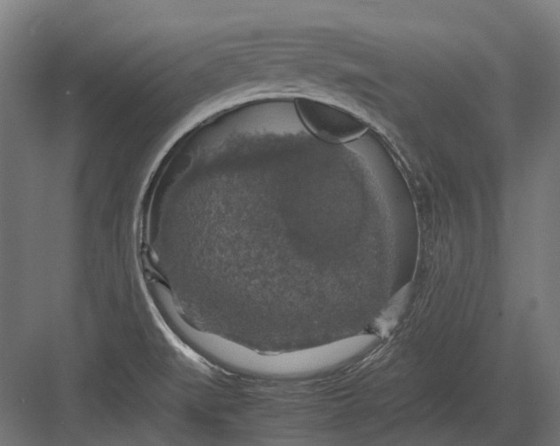 X0000082691519200702161711