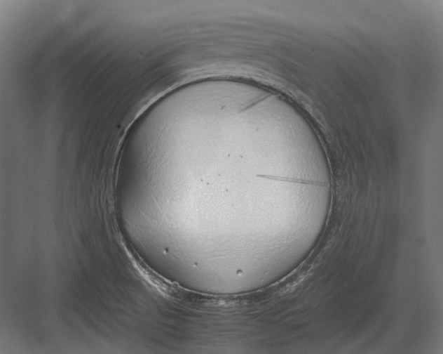 X0000082691521200702161711