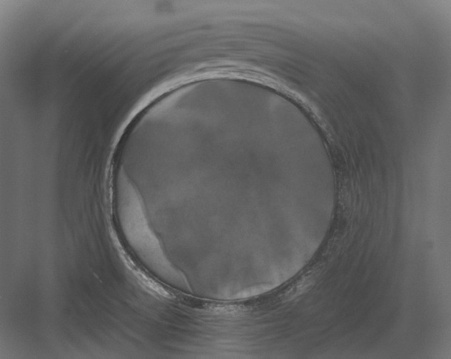 X0000082691522200702161711