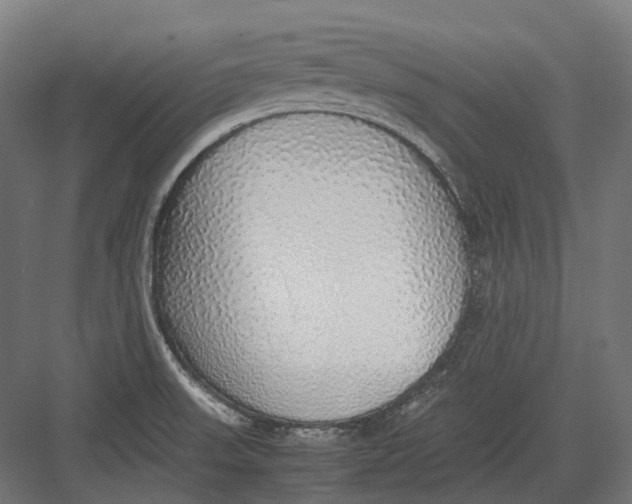 X0000082691523200702161711