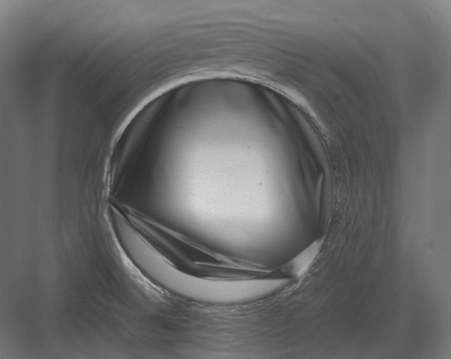 X0000082691524200702161711