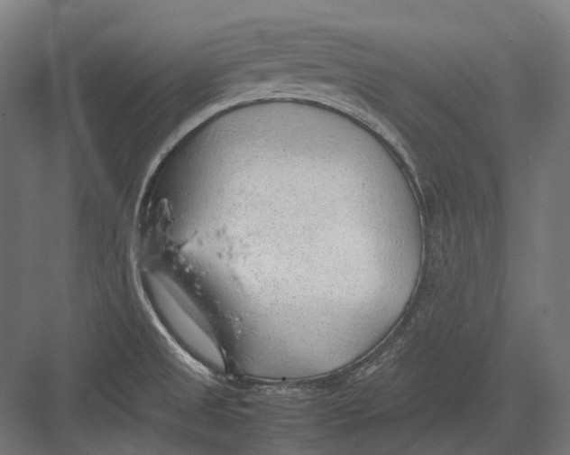 X0000082691525200702161711