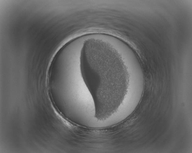 X0000082691527200702161711