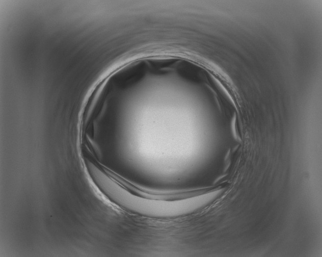 X0000082691528200702161711