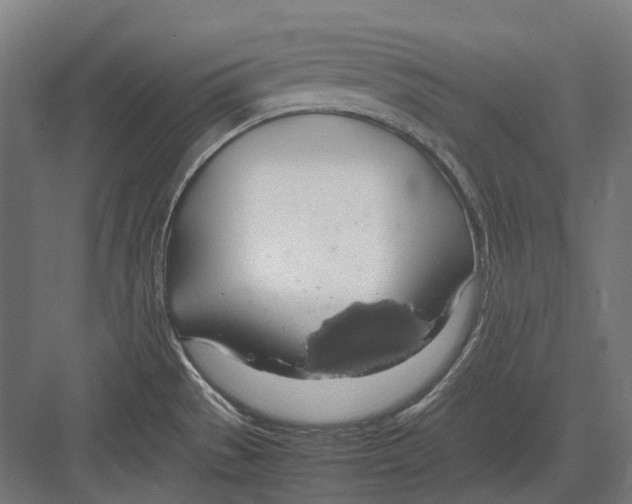 X0000082691529200702161711