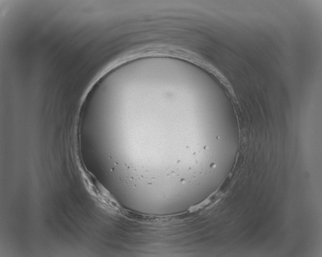 X0000082691530200702161711