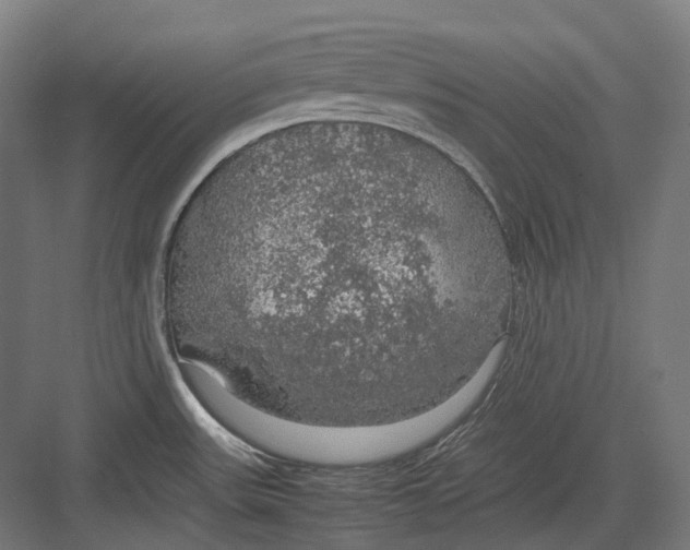 X0000082691531200702161711