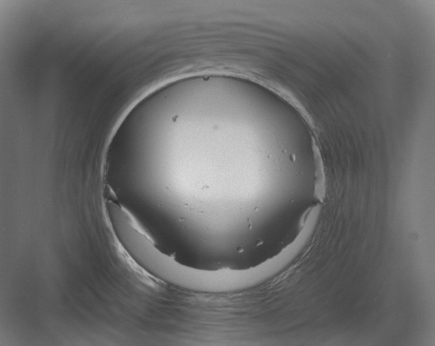 X0000082691532200702161711