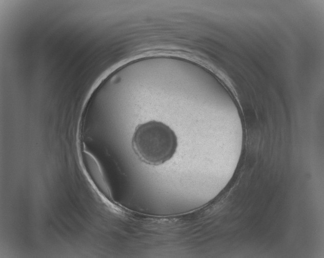 X0000082691533200702161711