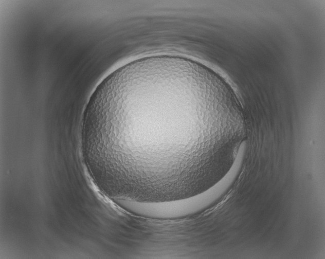 X0000082691534200702161711