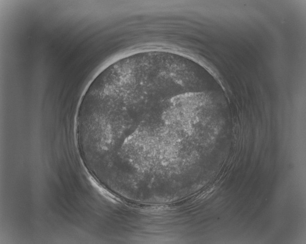 X0000082691535200702161711