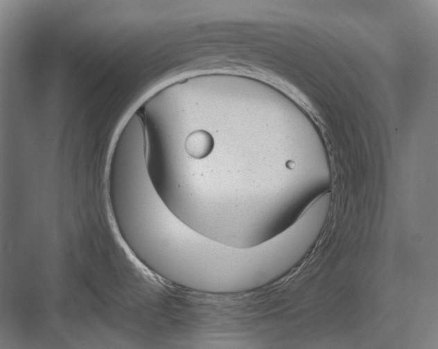 X0000082691536200702161711