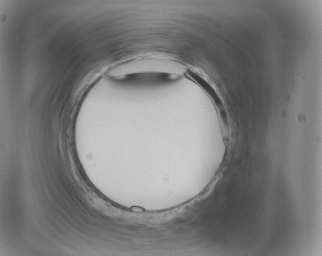 X0000082690001200702232216