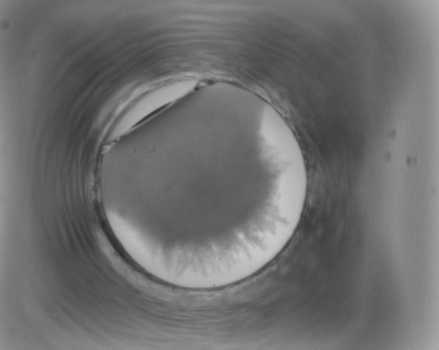 X0000082690002200702232216