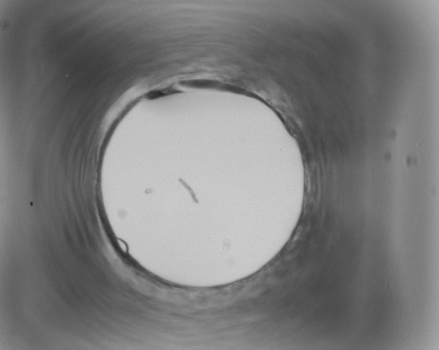 X0000082690003200702232216