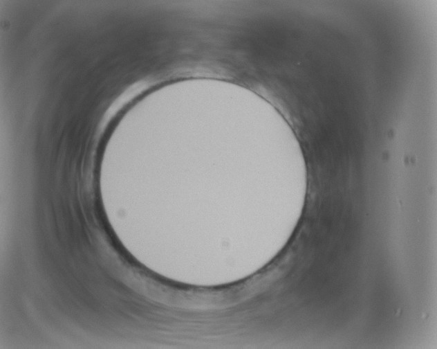 X0000082690008200702232216