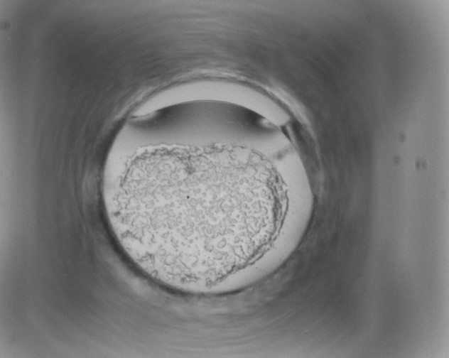 X0000082690009200702232216