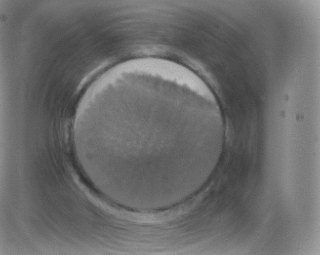 X0000082690010200702232216