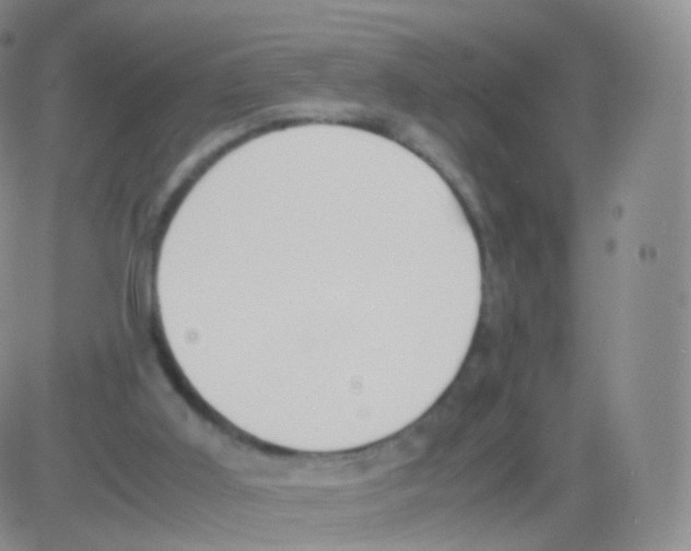 X0000082690011200702232216