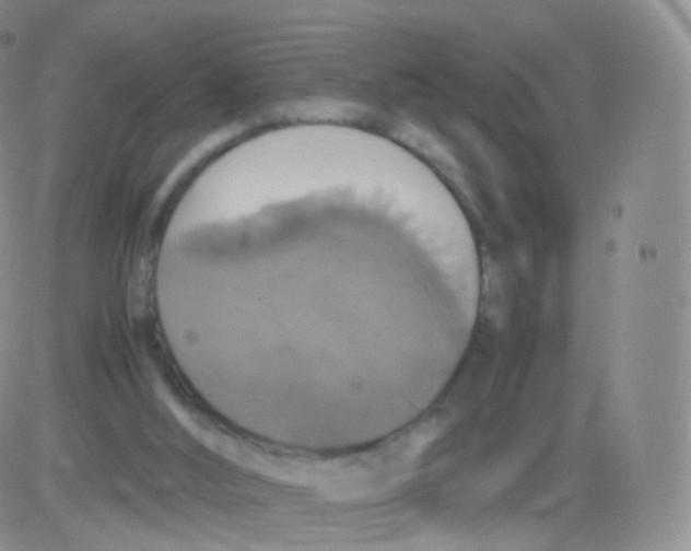 X0000082690012200702232216